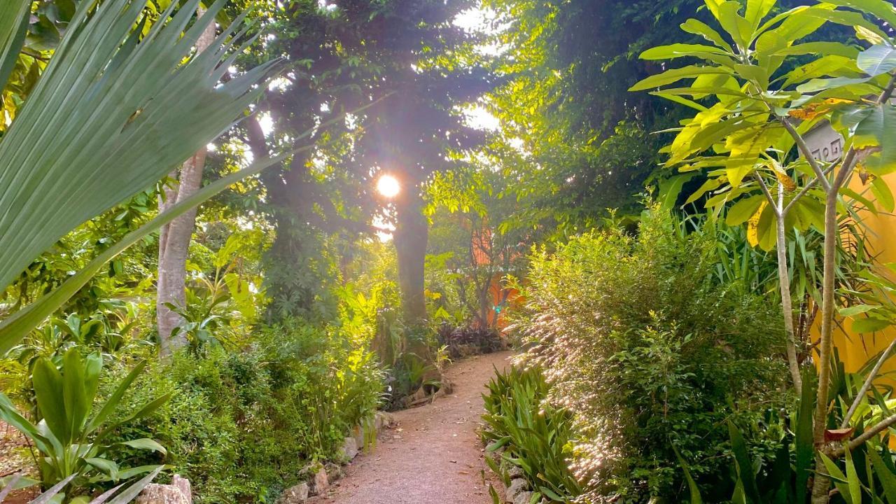 Gardenhotel Macan Che B&B Izamal Luaran gambar